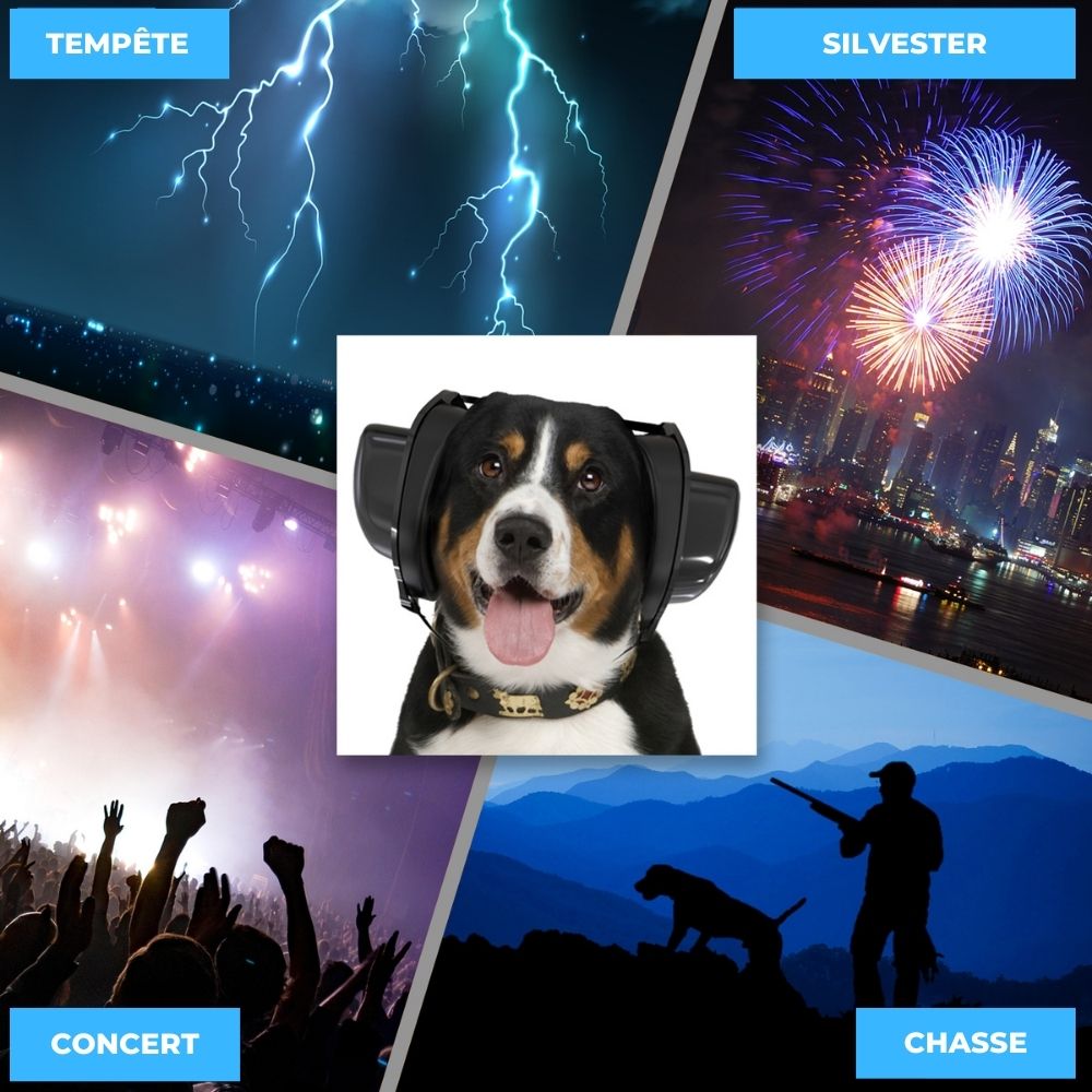 Cache-oreilles de protection contre le bruit des chiens, casque antibruit  pour chiens protection auditive, feux