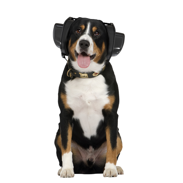 Cache-oreilles de protection contre le bruit des chiens, casque antibruit  pour chiens protection auditive, feux